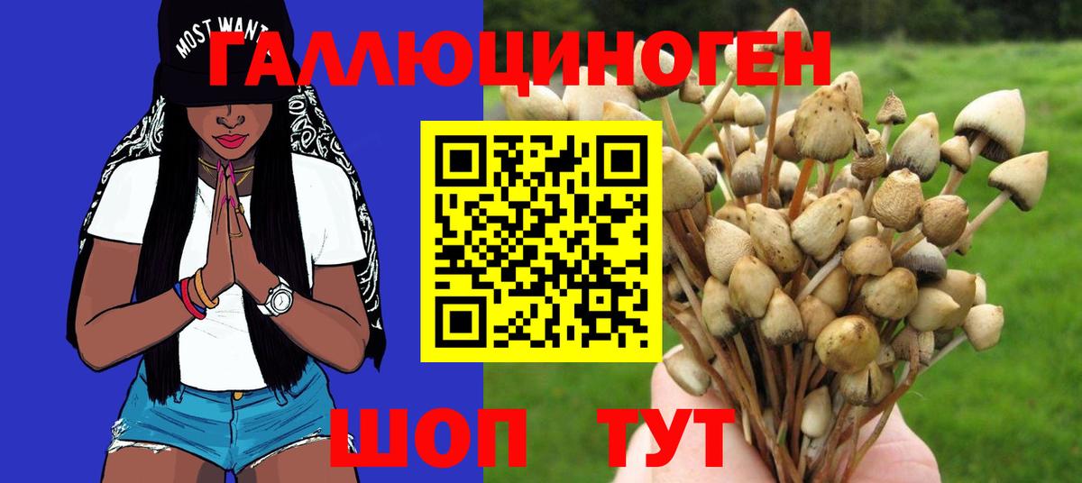 Псилоцибиновые грибы ЛСД Ивантеевка
